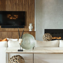 20RT - Fireplace