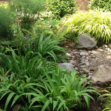 Textural Woodland Glade