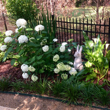 A timeless garden