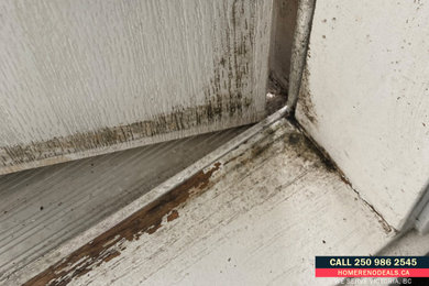 Excessive moisture in your rental property?