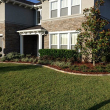 Landscape Ideas