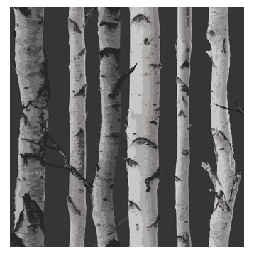 Distinctive Black Birch Tree Wallpaper Bolt