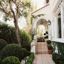 Landscape Ideas