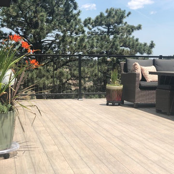 DecTec Deck Roof, Fortress Cable Railing and Wild Hog wire fence