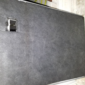 mold remediation