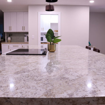 Elegant Kitchen with a Hidden Pantry