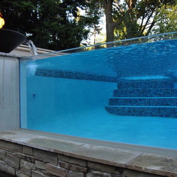 Hoffman Res. APSP International Award Winning Pool