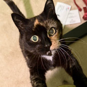Kim Killeen's photo