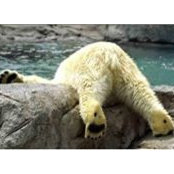 Andy Bowman's photo