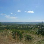 Ivan Buco's photo