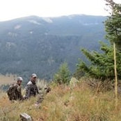 Janna McBride's photo