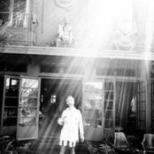 Alex Herlihy's photo