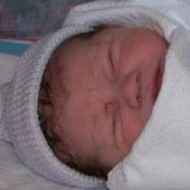 Foto de Krissy Arpino Shafer
