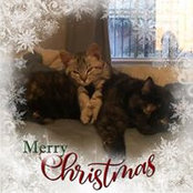 Paula Kamps's photo