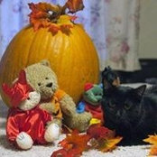 Arla Wildeboer-Stuefen's photo