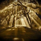 Katriona Auerbach's photo