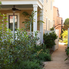 Side yard