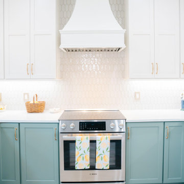 Chapin Home Remodel