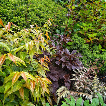 Mercer Island - Curb Appeal and Color