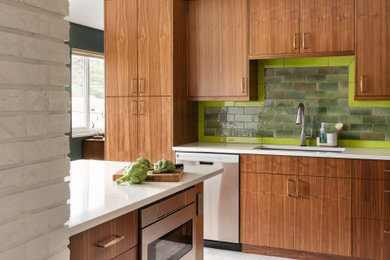 1960s kitchen photo in St Louis