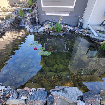 Custom✨ Koi Pond