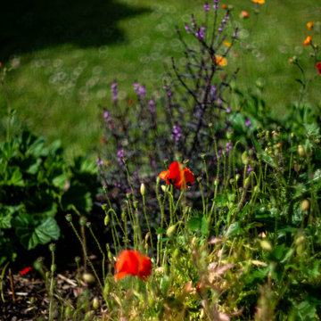 Thornbury: Front Garden Renovation