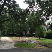 Trees on Property