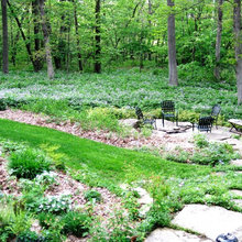 Mom's backyard