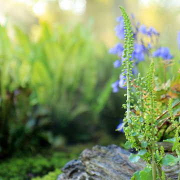 Floralies internationales de Nantes - Edition 2014