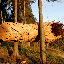 Tree House