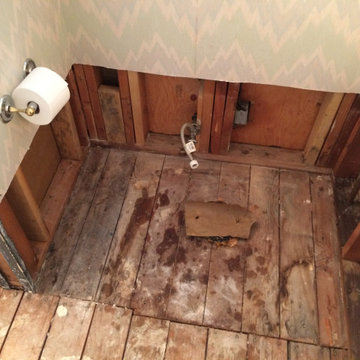 BEFORE PIC - Toilet is the Culprit!