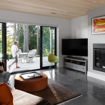 Stunning modern home in the woods