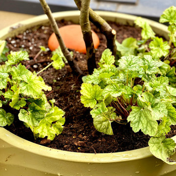 Terrasses et balcons I Dedans – Dehors