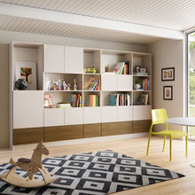 Tree Frog - shelving