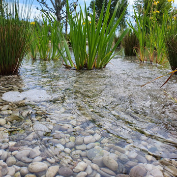 Natural swimming pool