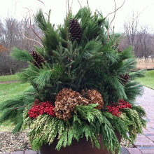 jennifer_hensley's ideas