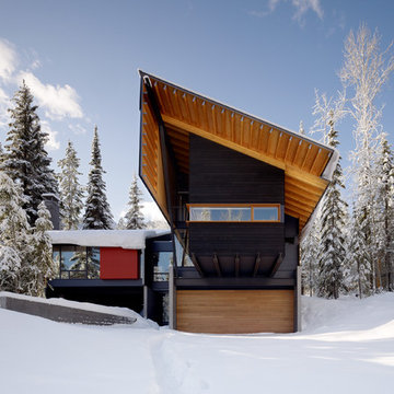 Kicking Horse House