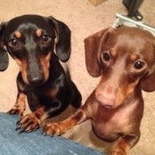 Dove Browder's photo