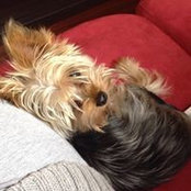 Selin Altinel's photo