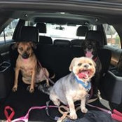 Eric Weisser's photo