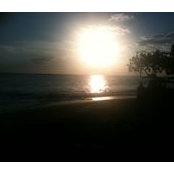 Rene Ramirezs foto