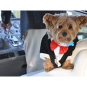 Cindy Moore's photo