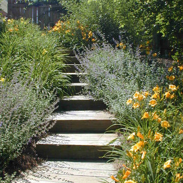 Soften hard edges with soft perennials