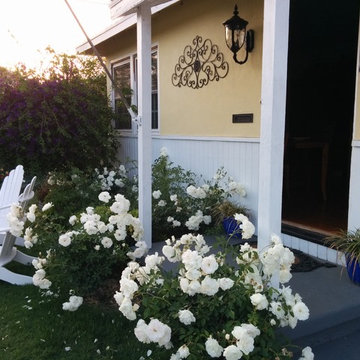 Demonstration Gardens