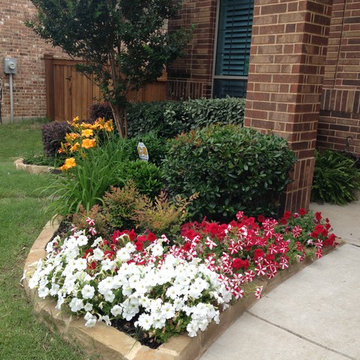 Front Landscape