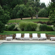 Landscape Ideas