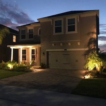 Landscape Lighting Winter Garden
