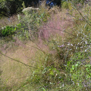 Lake Claire Community Land Trust Meadow