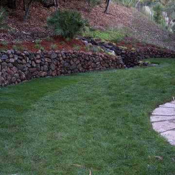 Landscape Design & Installation