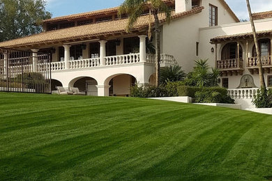 Landscape Renovations